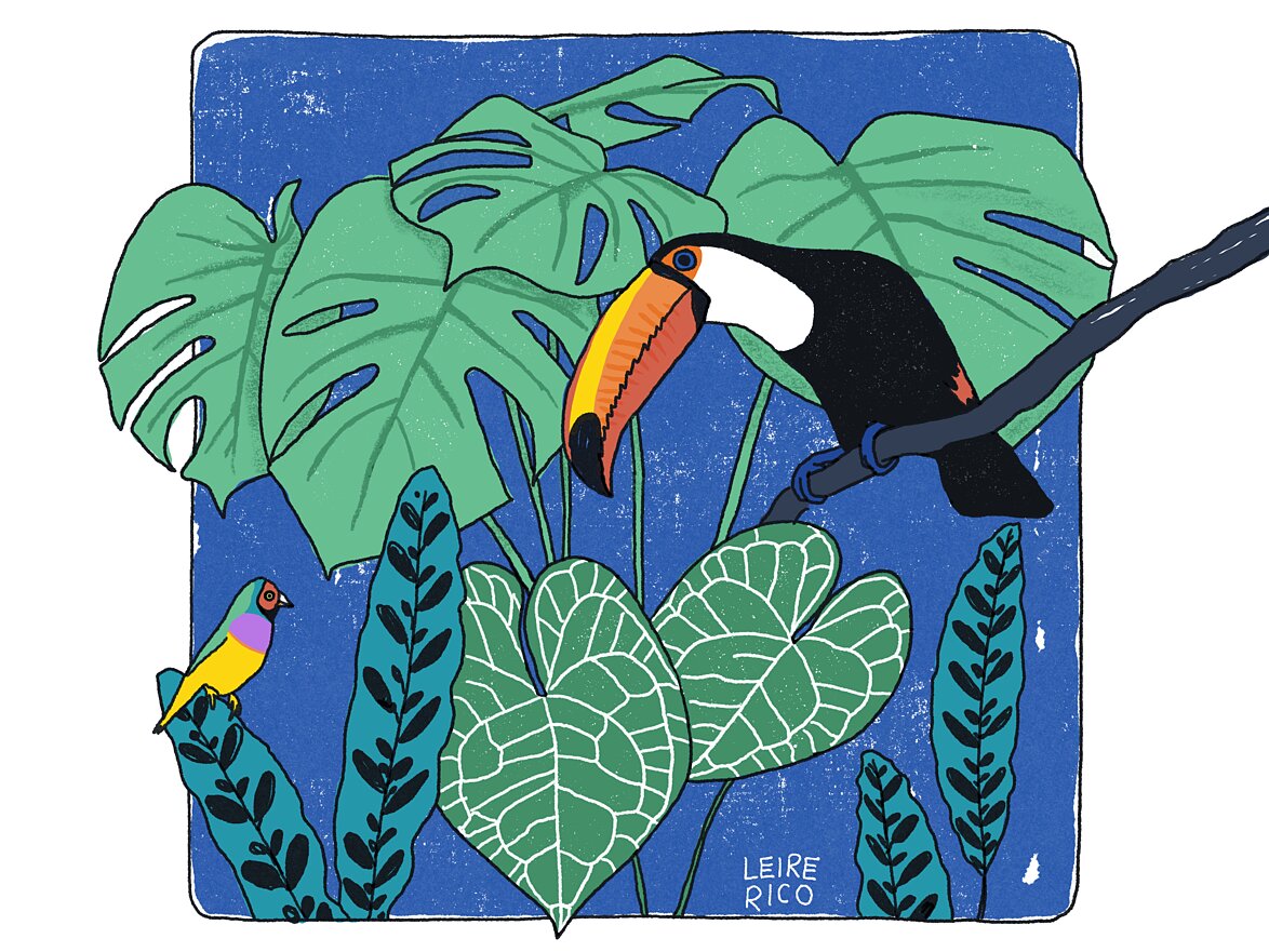Tropical scene illustration